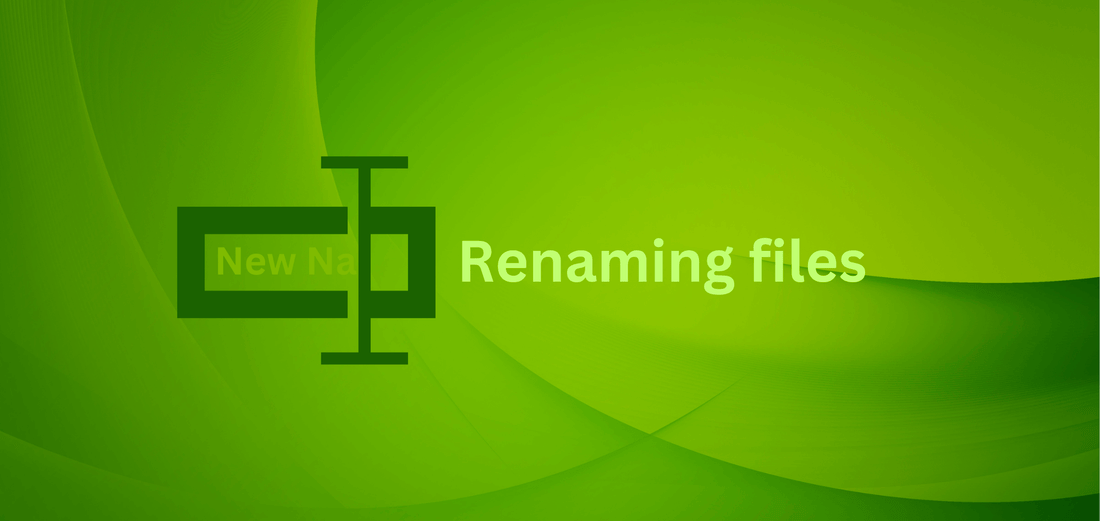 Shopify: Renaming files