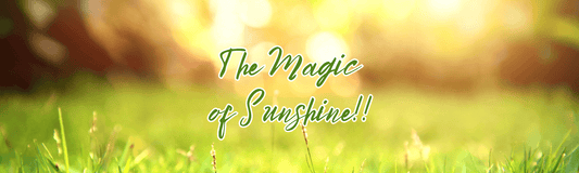 Being Outside Makes You Happier and Healthier