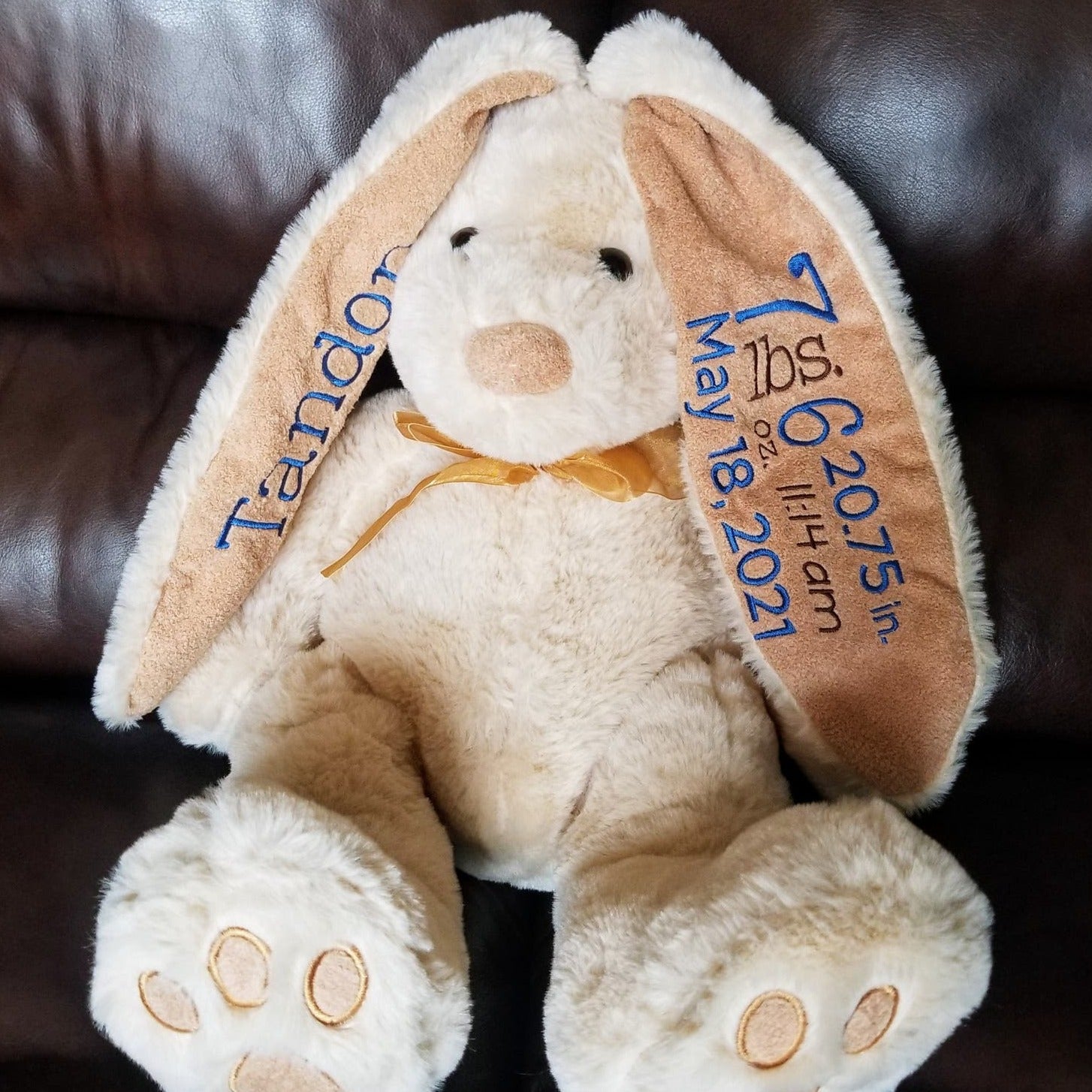 Personalized Birth Announcement Bunny