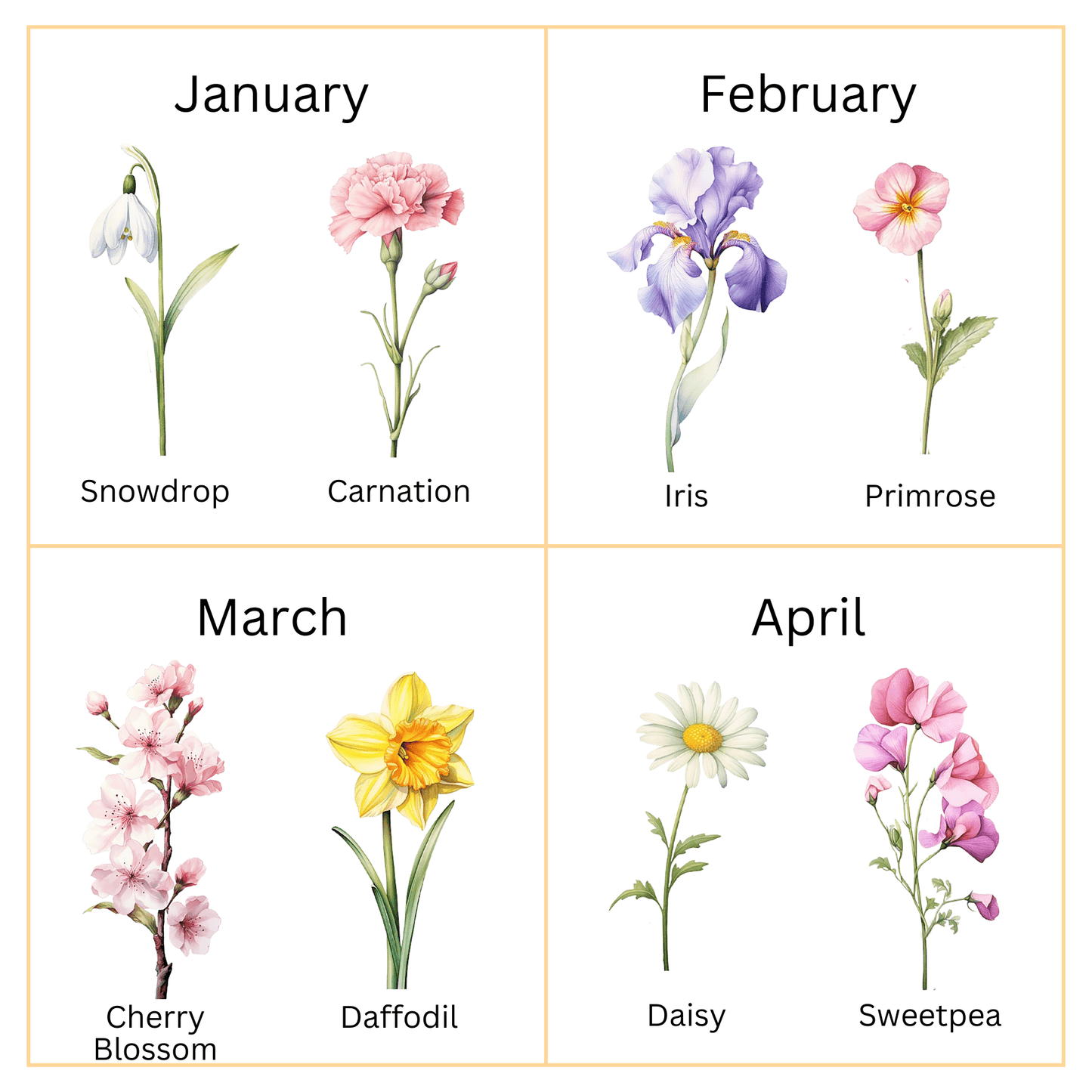 Personalized Baby Birth Month Flower Print choices