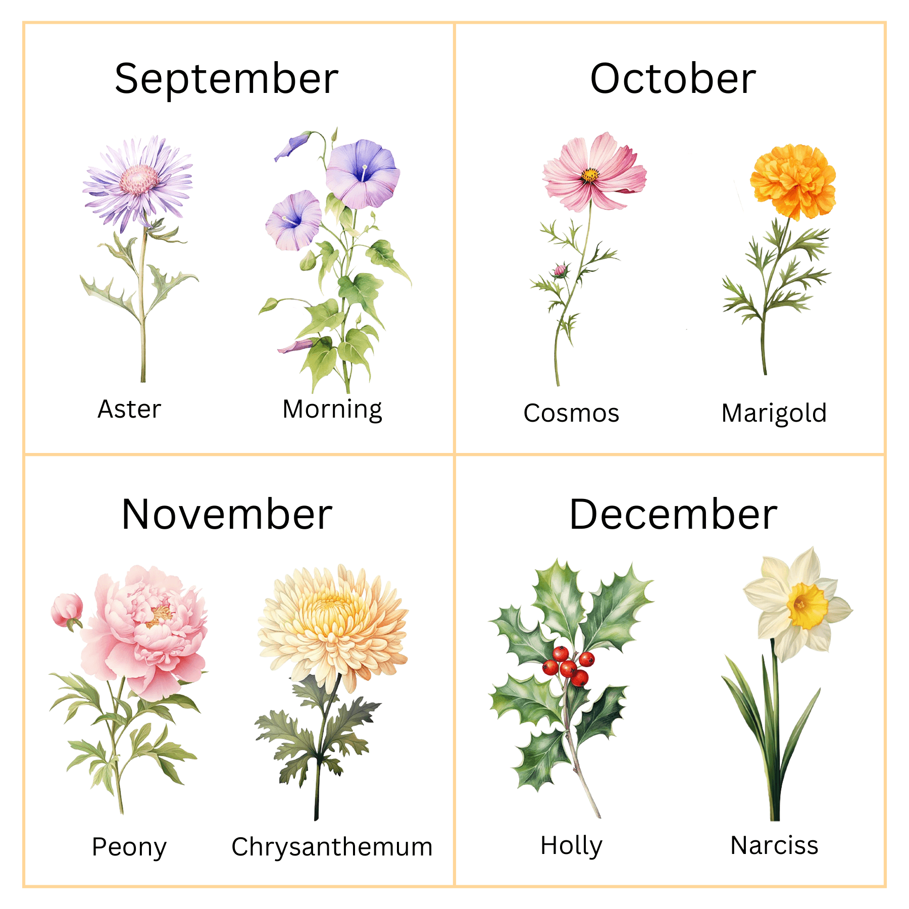 Baby Birth Month Flower Print choices