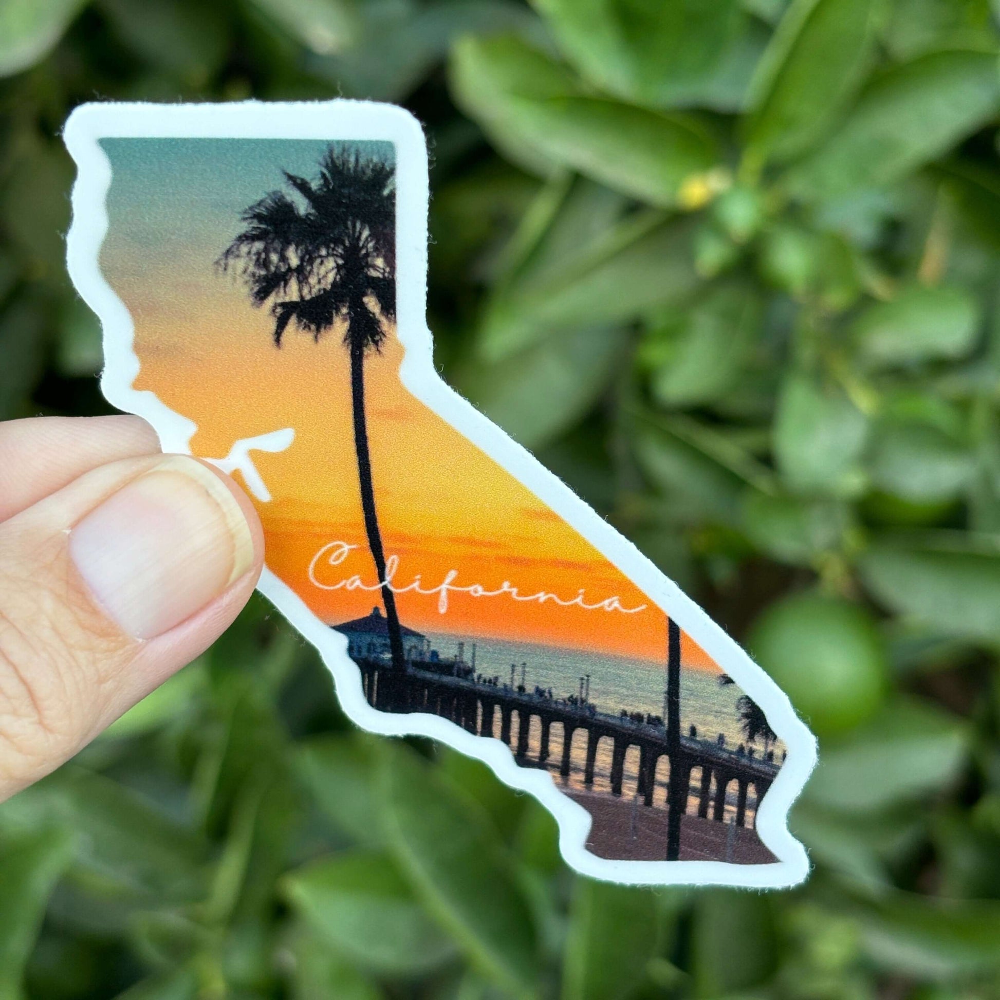 California Sunset Pier Vinyl Sticker