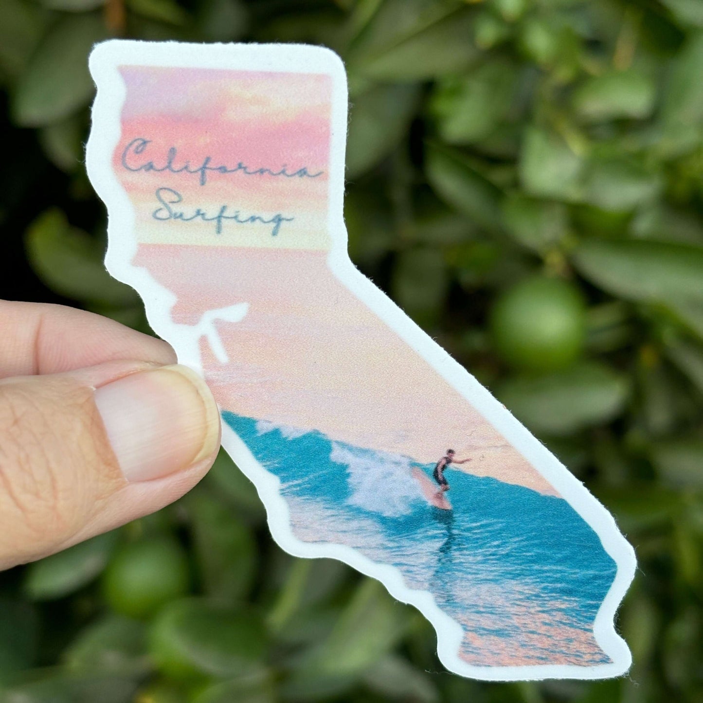 California Wave Rider Sticker